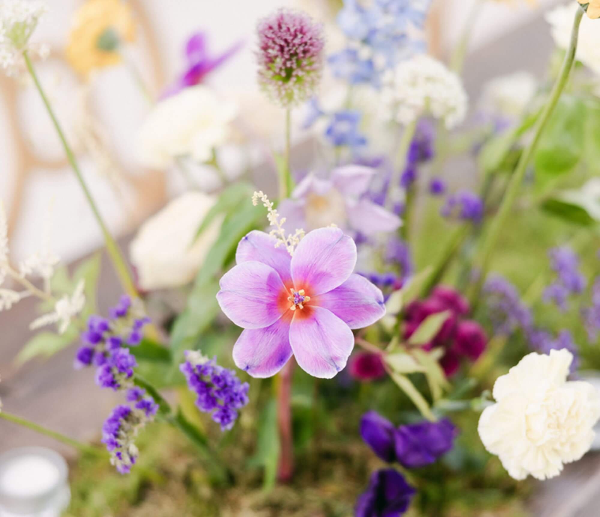 portfolio fleur